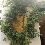 Cultura y desigualdad de género: Desafíos y oportunidades