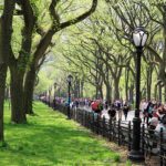 Relación entre el acceso a espacios públicos y vida urbana