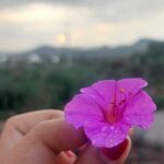 Estrategias para combatir estereotipos de género en la sociedad