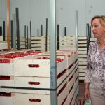 El papel de las cooperativas en la distribución de capital