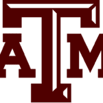 Influencia de las redes de apoyo en el capital interpersonal