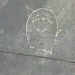 Impacto de la representación curricular en la educación inclusiva