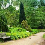 Impacto del acceso a la salud mental en la comunidad actual