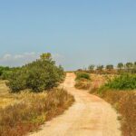 Estrategias para aumentar el acceso en zonas rurales rurales